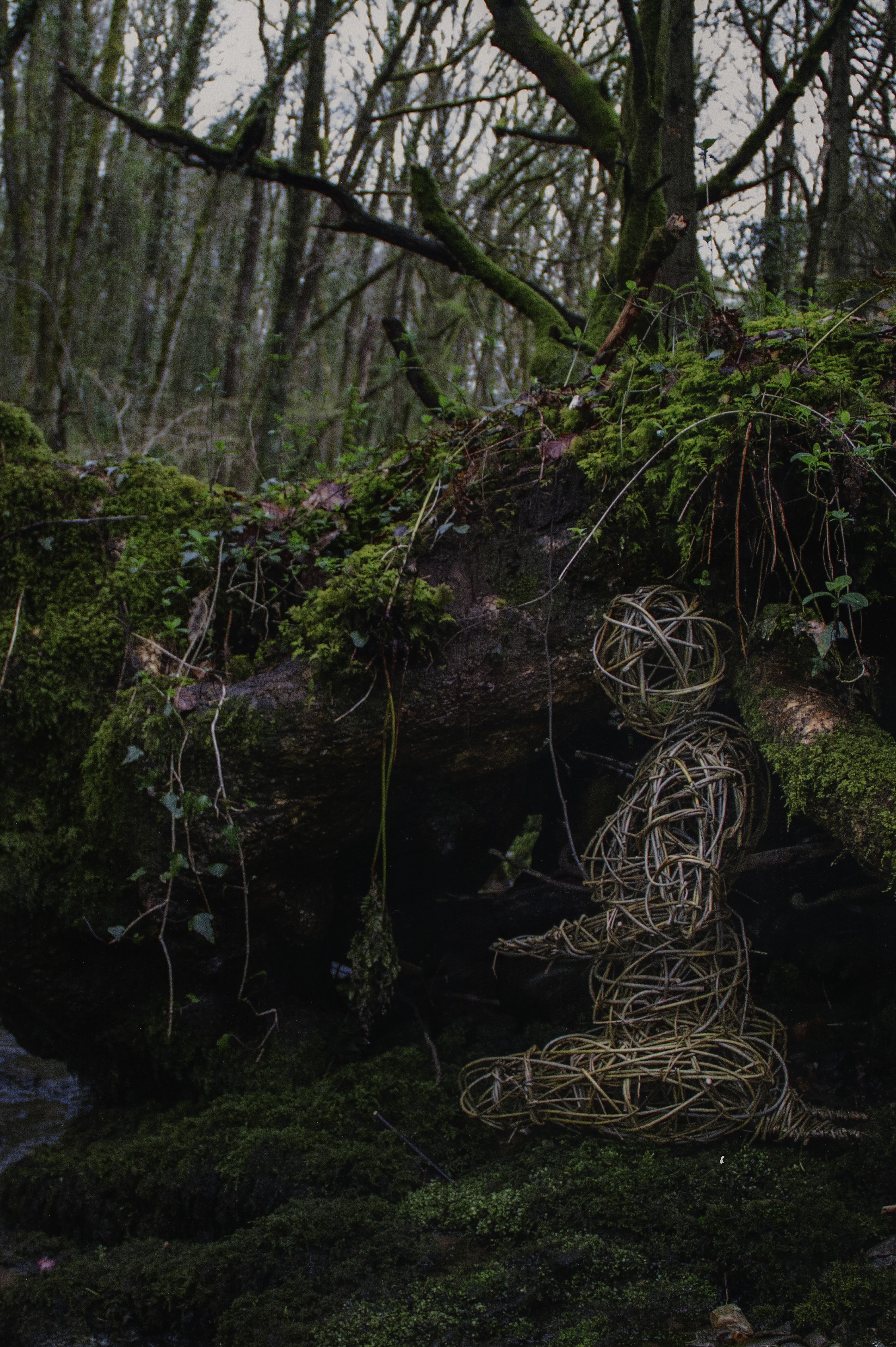 Garden Sculpture